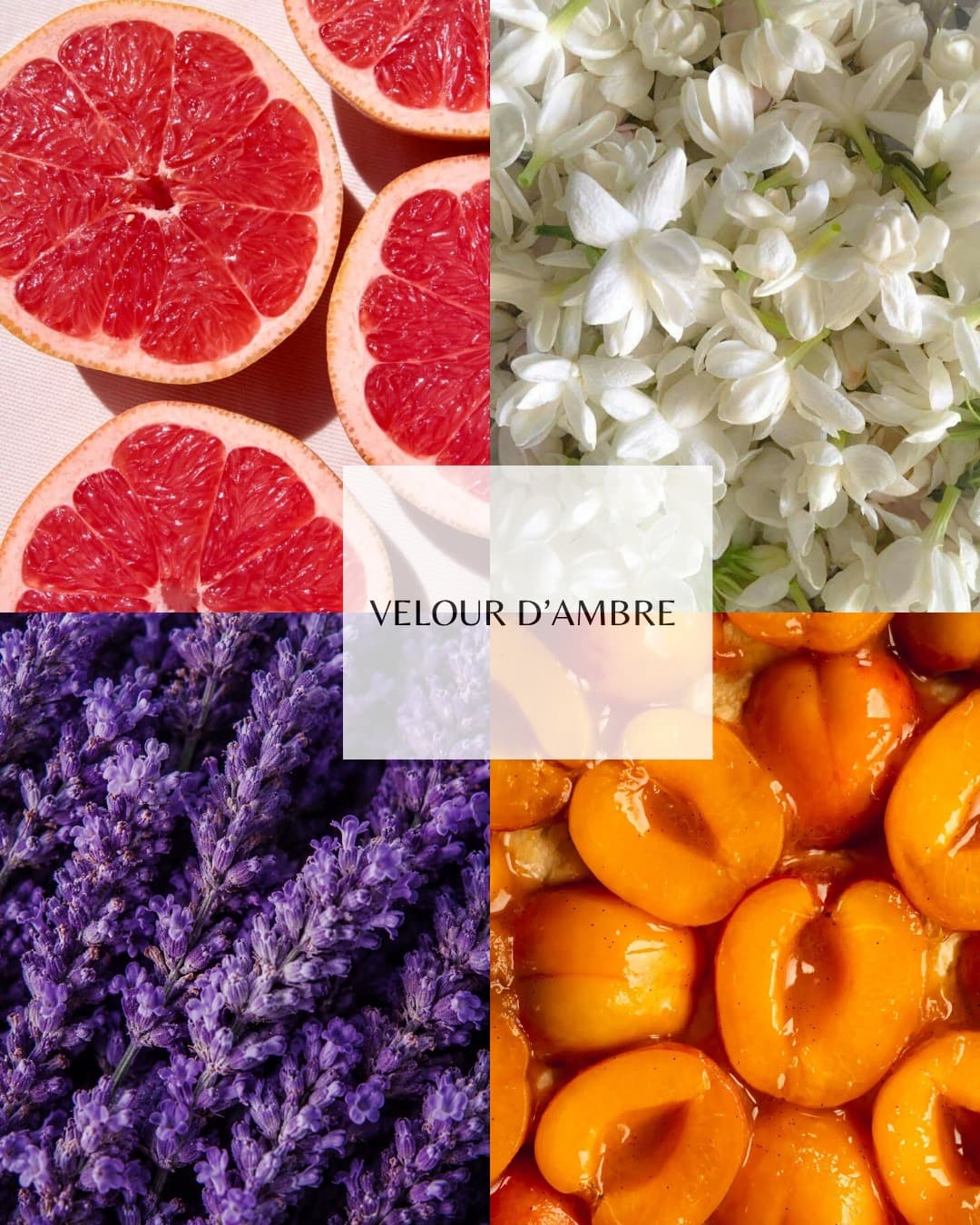 Velours d'Ambre